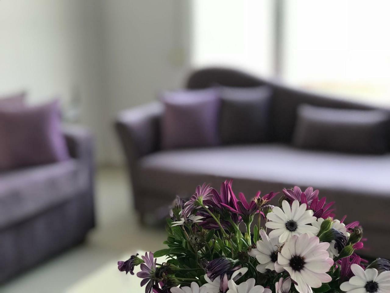 סרנדה Sunny Bay Apartments מראה חיצוני תמונה